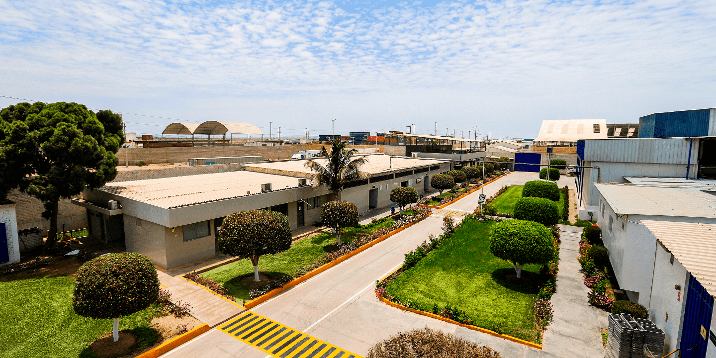 La planta <br />
en Paita 