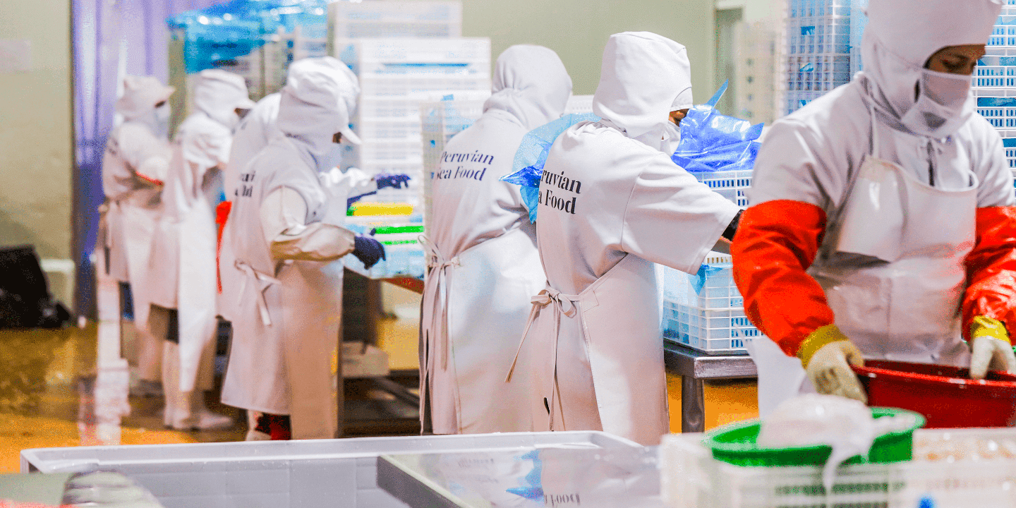 La planta <br />
en Paita 